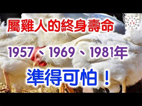 1981屬什麼|【1981年屬什麼】1981年出生屬什麼？五行命理大揭密！